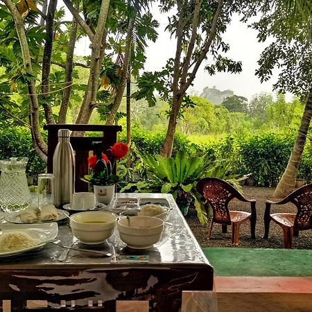 Sigiriya Palace View المظهر الخارجي الصورة