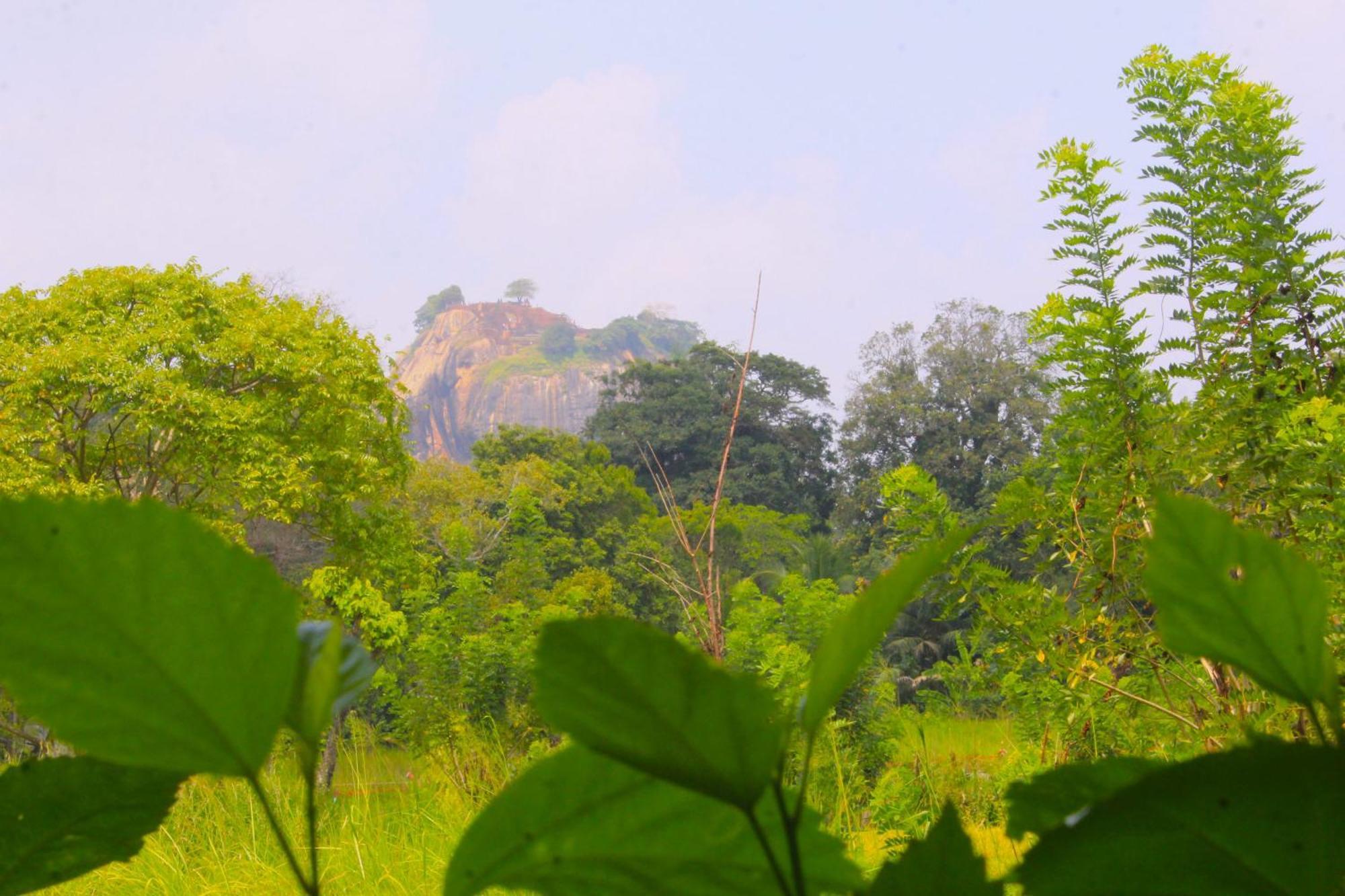 Sigiriya Palace View المظهر الخارجي الصورة