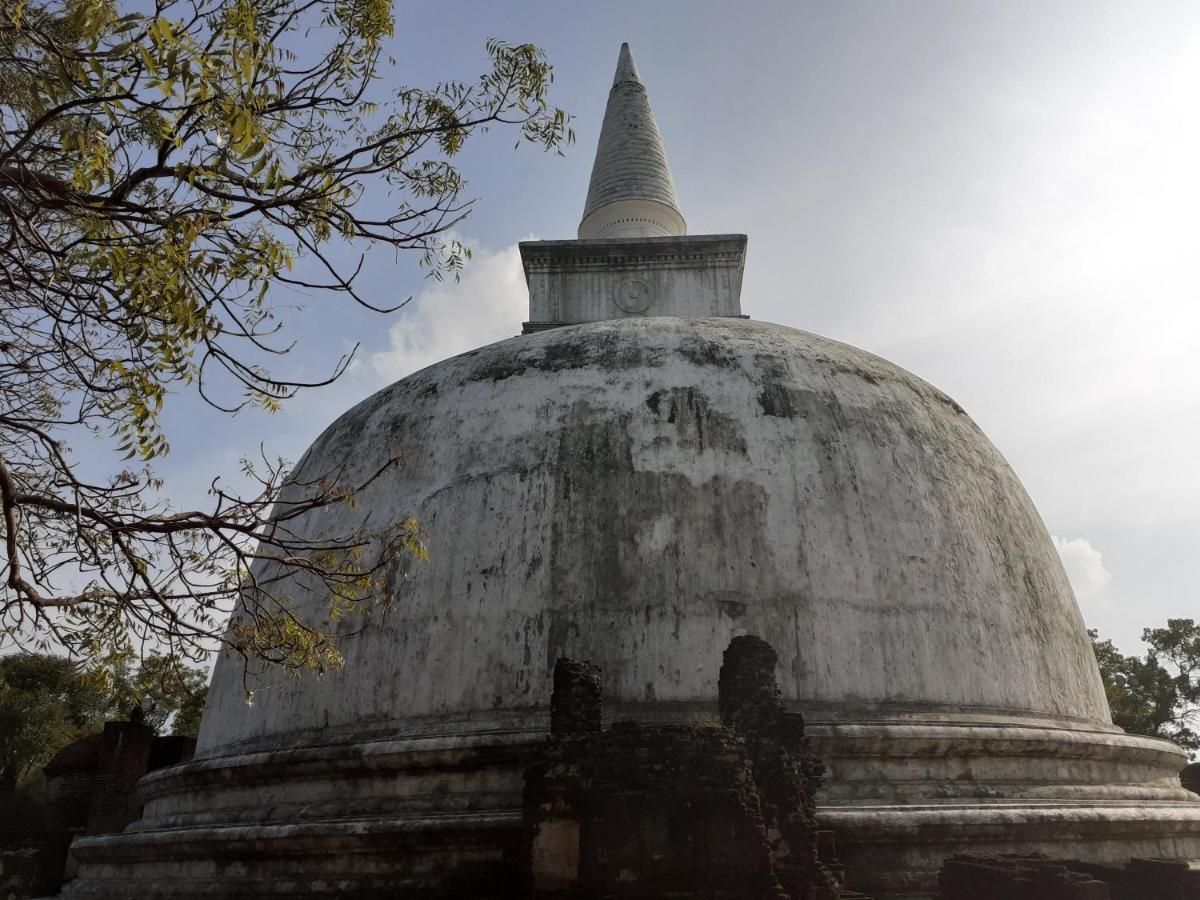 Sigiriya Palace View المظهر الخارجي الصورة