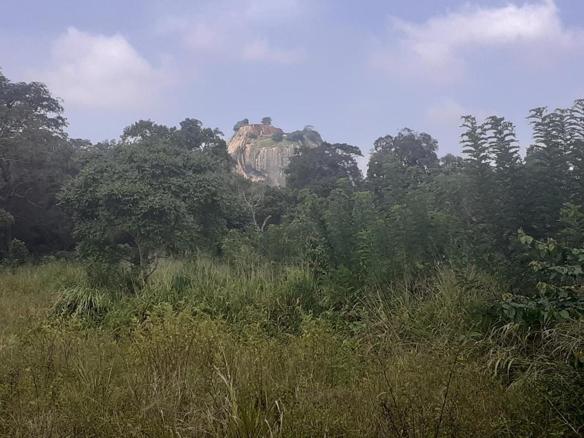 Sigiriya Palace View المظهر الخارجي الصورة